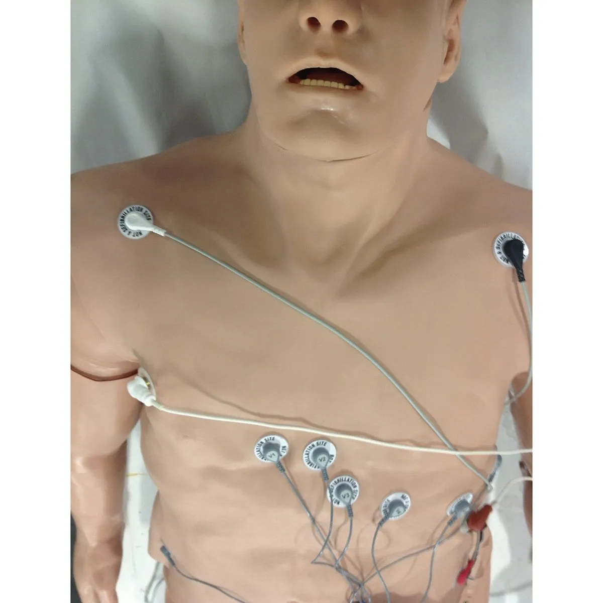12-Lead Arrhythmia Simulator on Overlay System for Large Manikins, Zoll