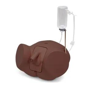 3B Catheterization Trainer Simulator PRO version, Male, Dark Skin