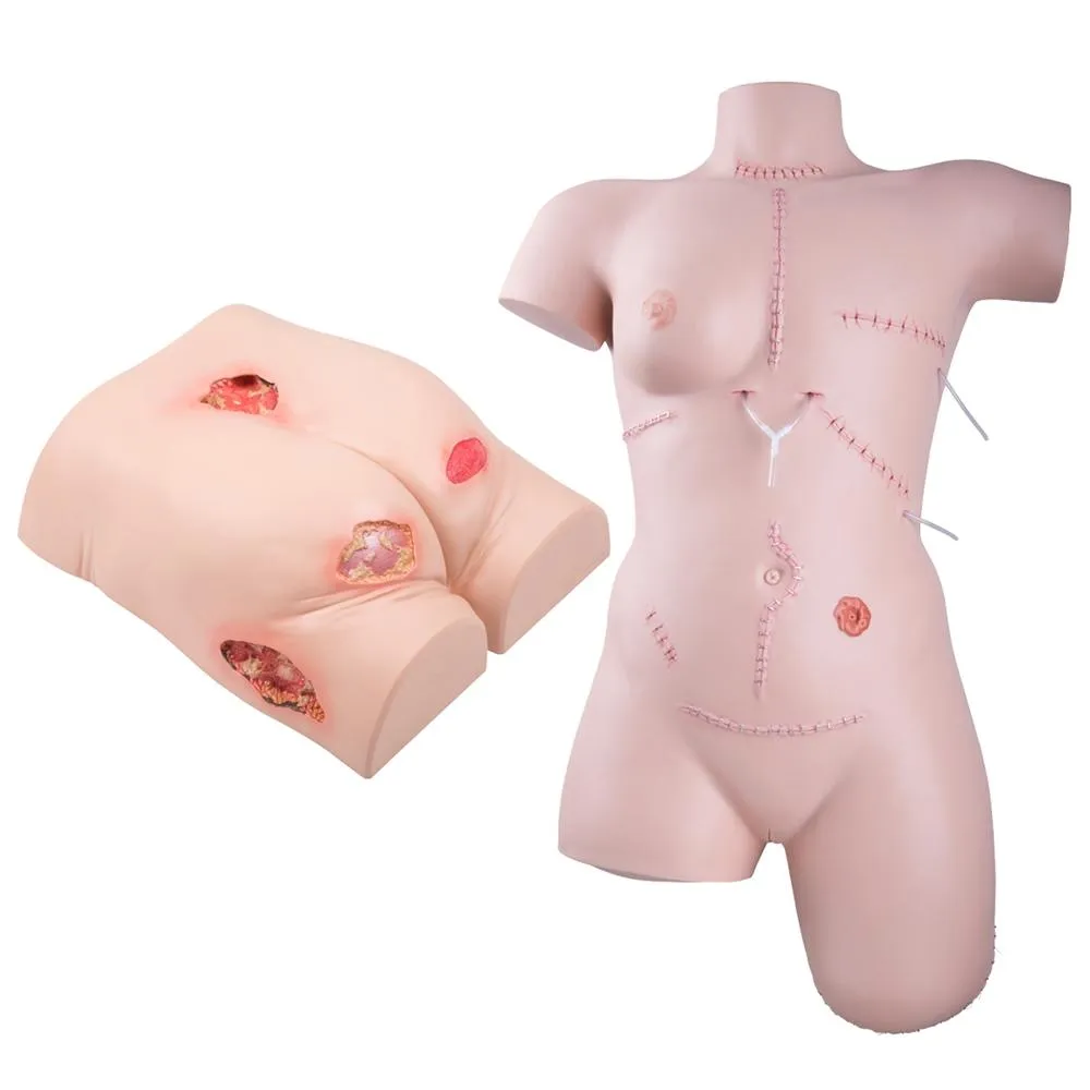 3B Scientific Nursing Plus  Kit
