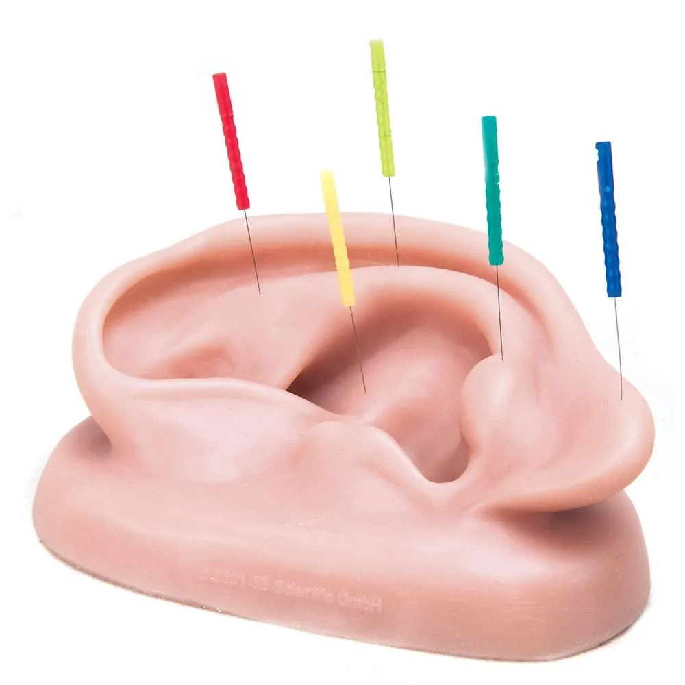 Acupuncture Ear Model, Left