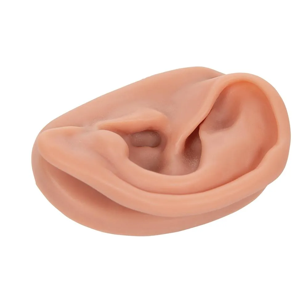 Acupuncture Ear Model, Left