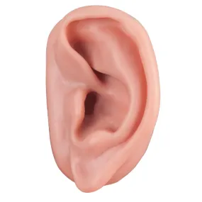 Acupuncture Ear Model, Left