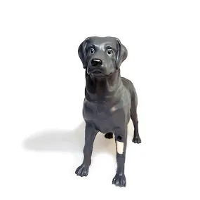 Androdog Andy