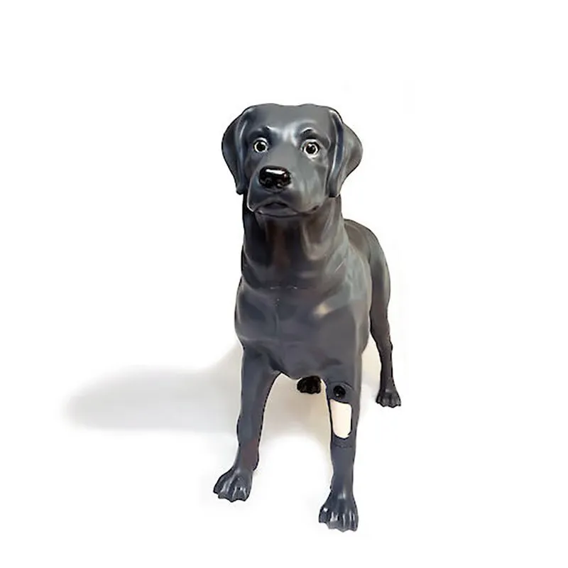 Androdog Andy