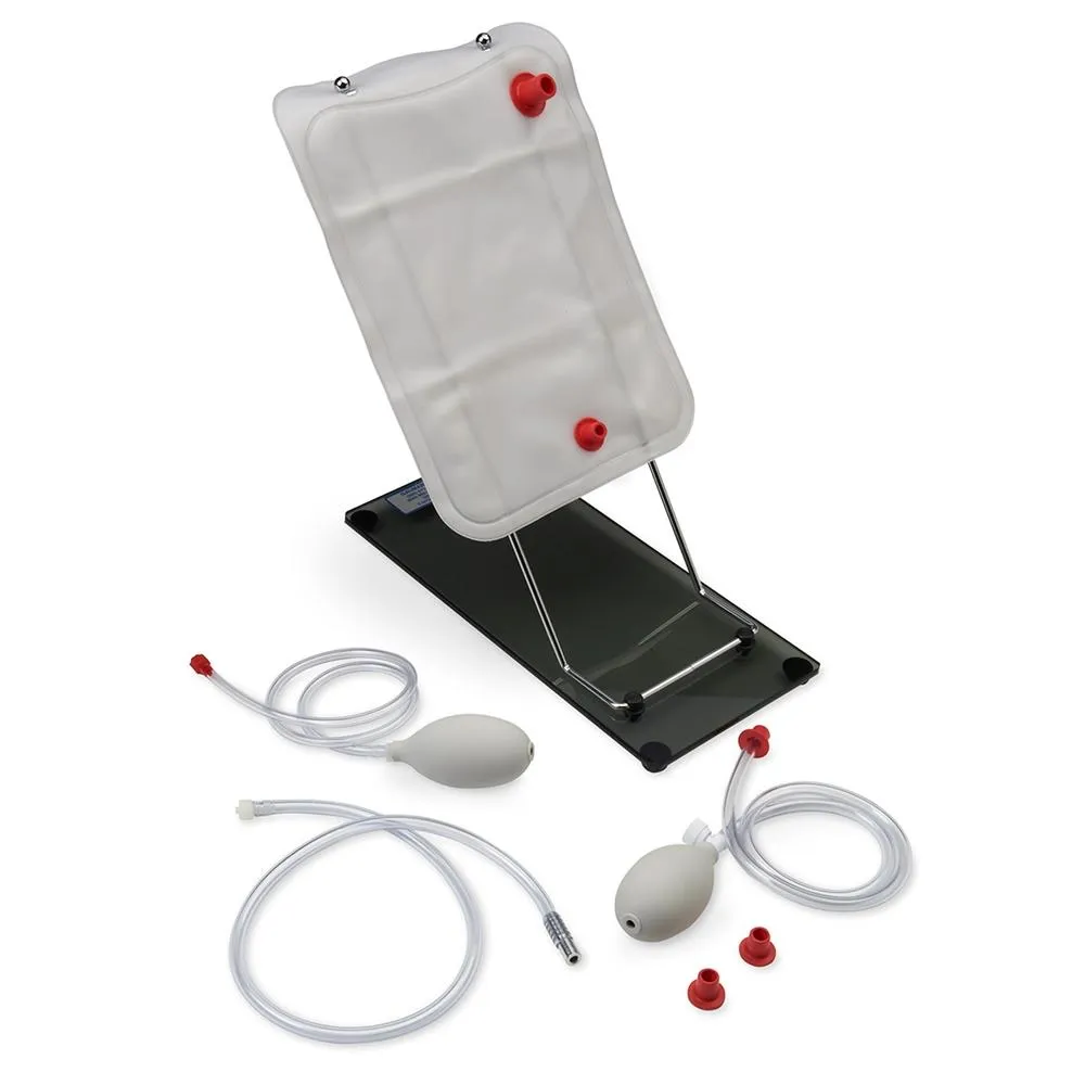 Clinical Chloe™ Advanced Patient Care Simulator, Light