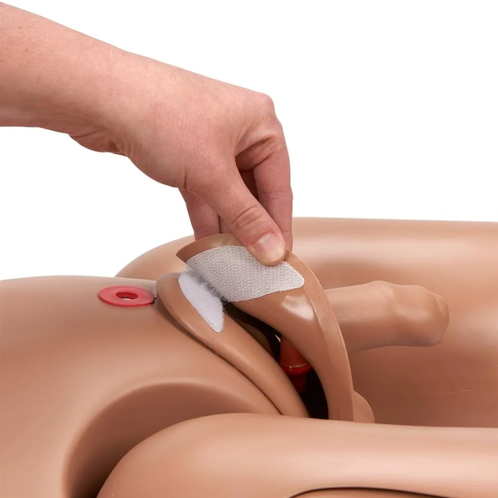 Clinical Chloe™ Patient Care Simulator, Light