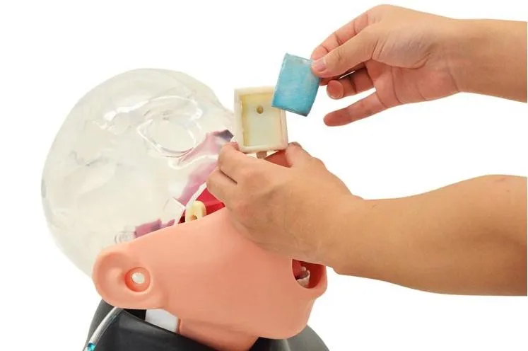 COVID-19 Nasopharyngeal Swab Collection Simulator