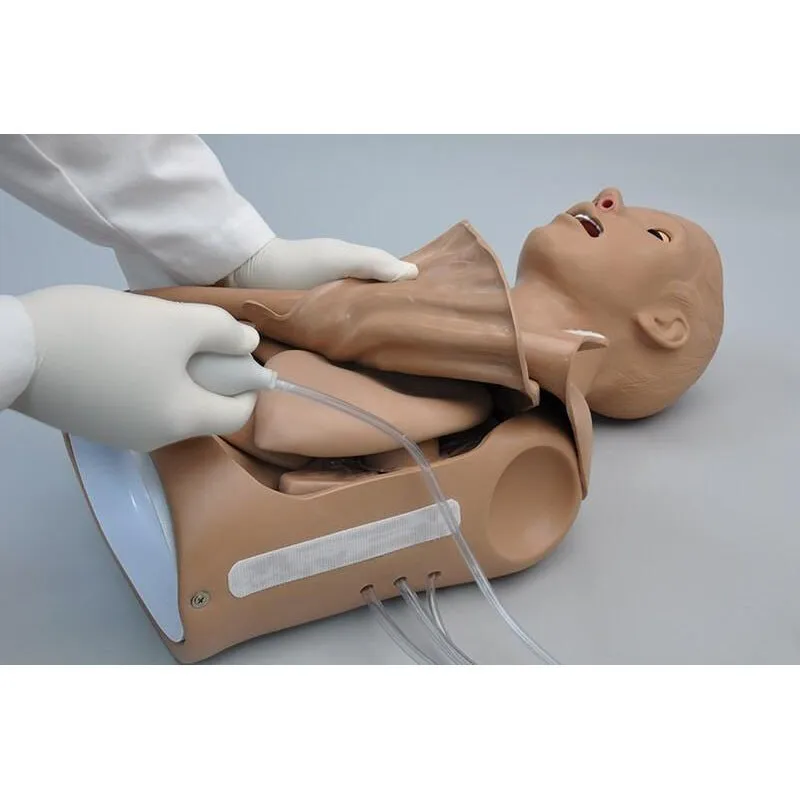 CPR Simon Torso Simulator, Light
