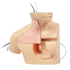 CVC Insertion Simulator III