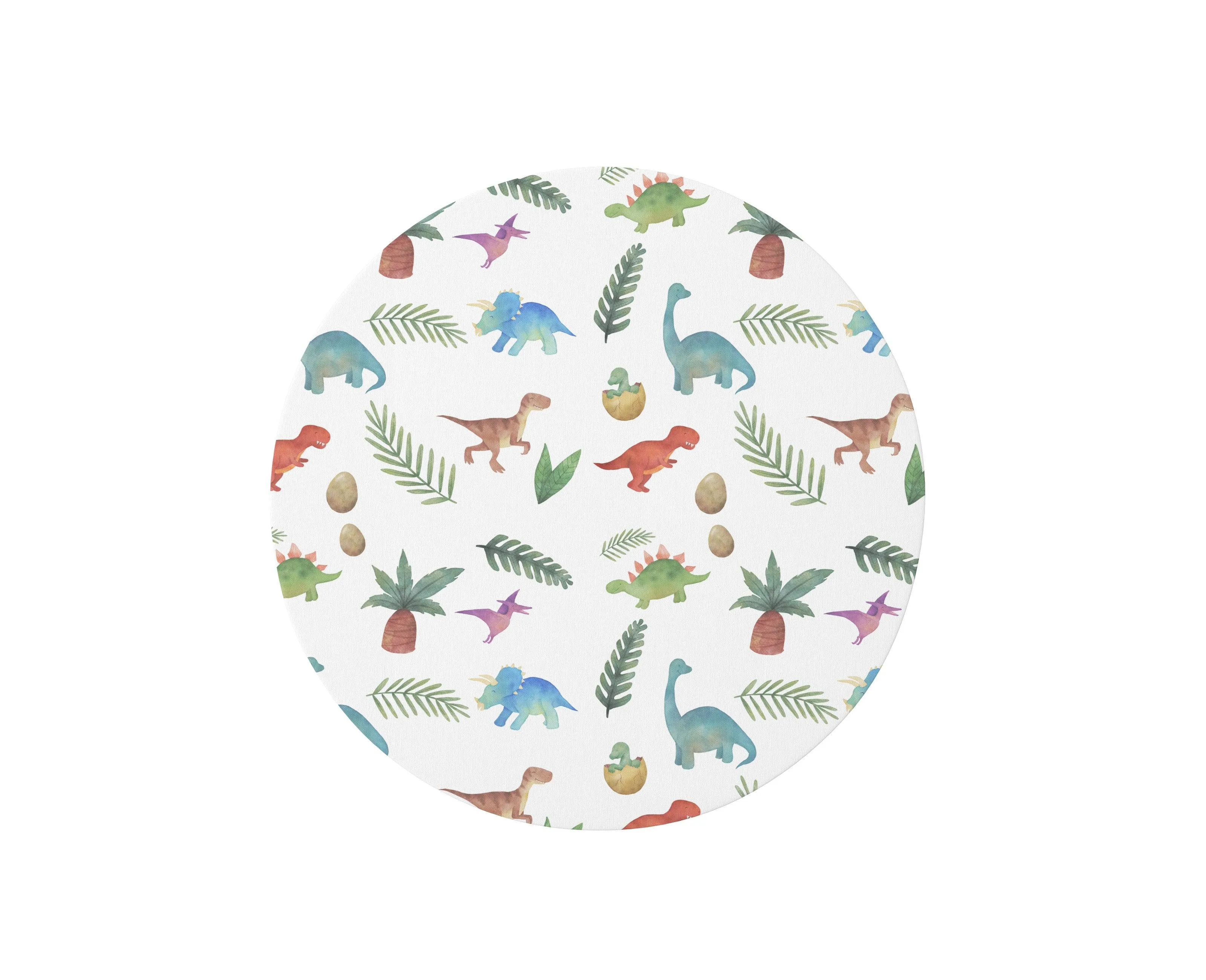 Dinosaur Circular Playmat/ Rug
