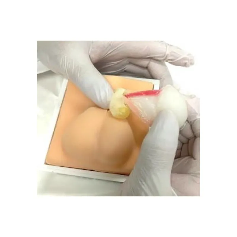 Dogs Castration - Training Model