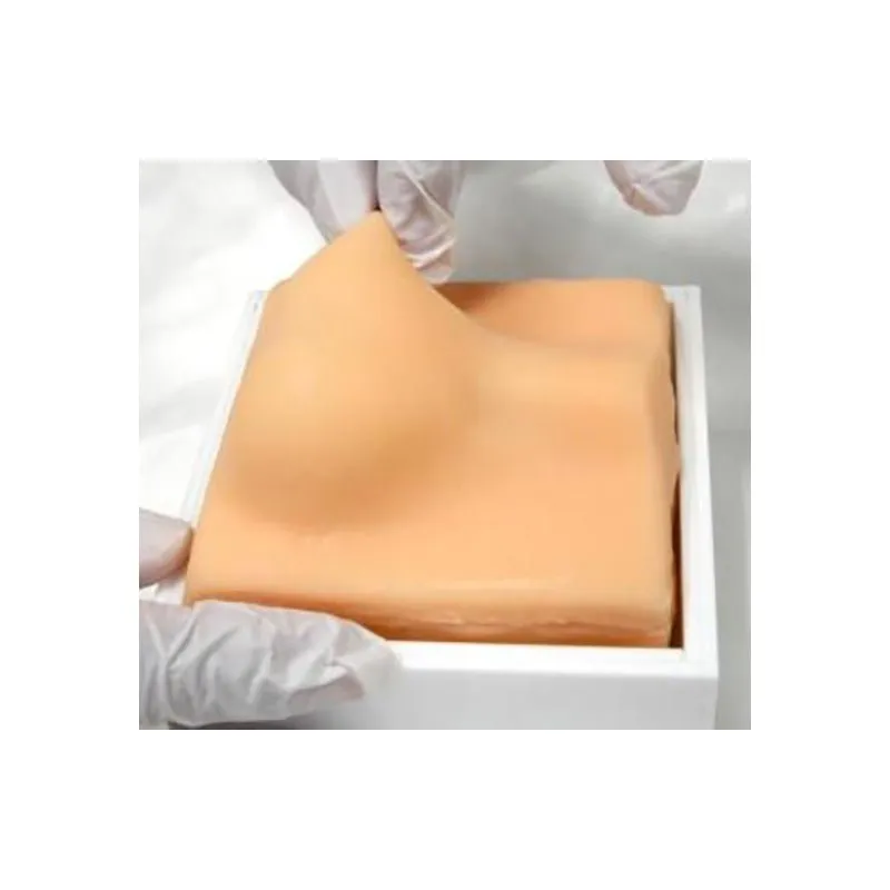 Dogs Castration - Training Model