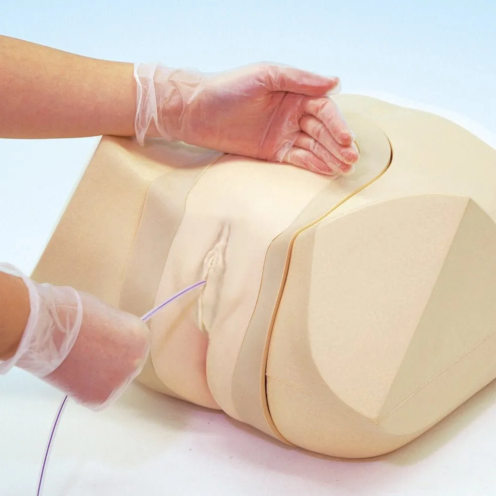 Female Catheterization and Enema Simulator