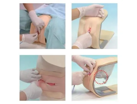 Female Catheterization and Enema Simulator