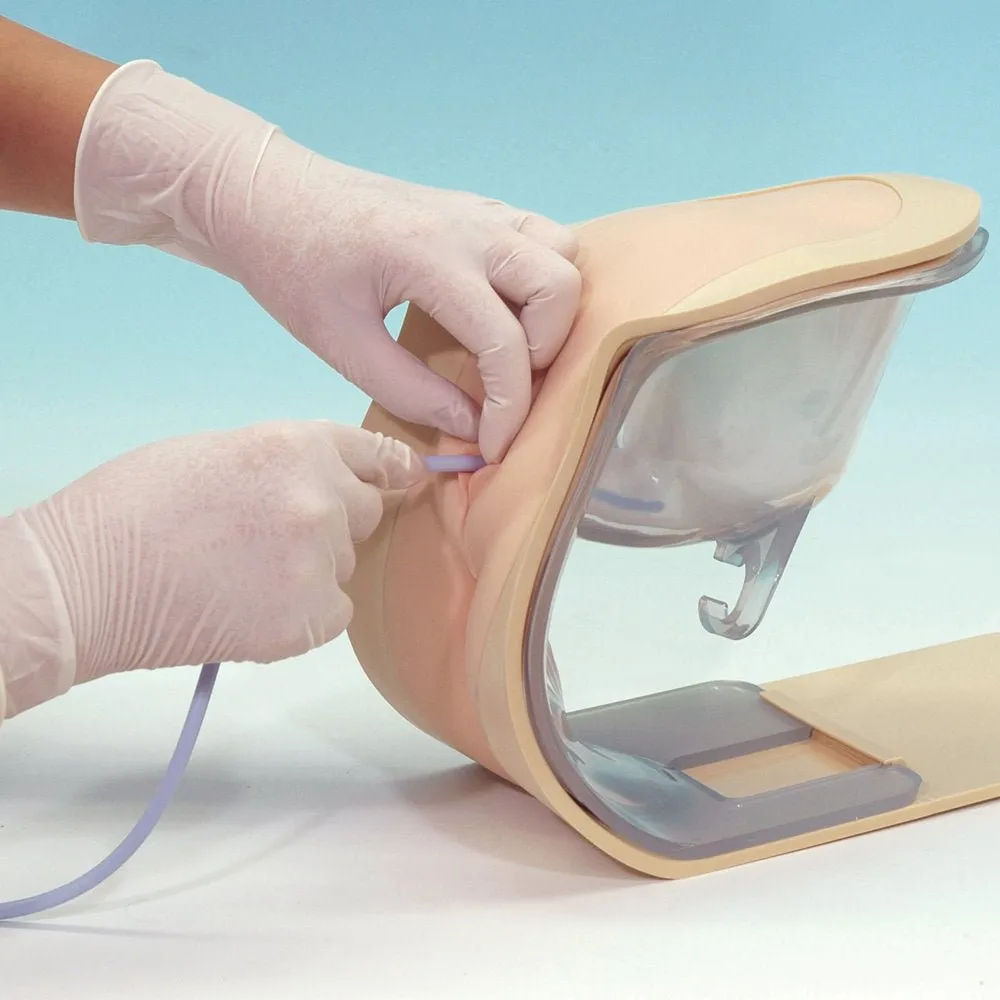 Female Catheterization and Enema Simulator