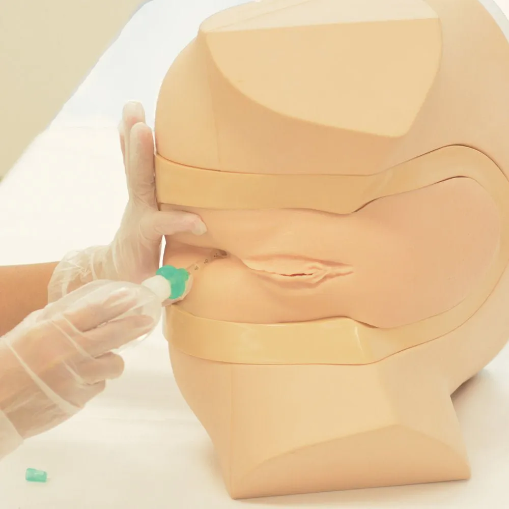 Female Catheterization and Enema Simulator