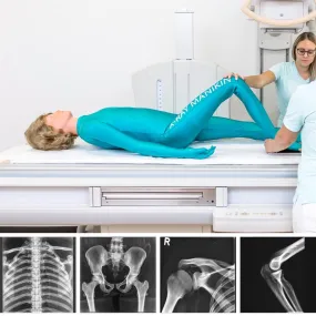 Full Body X-Ray Phantom with Real Human Skeleton Bones
