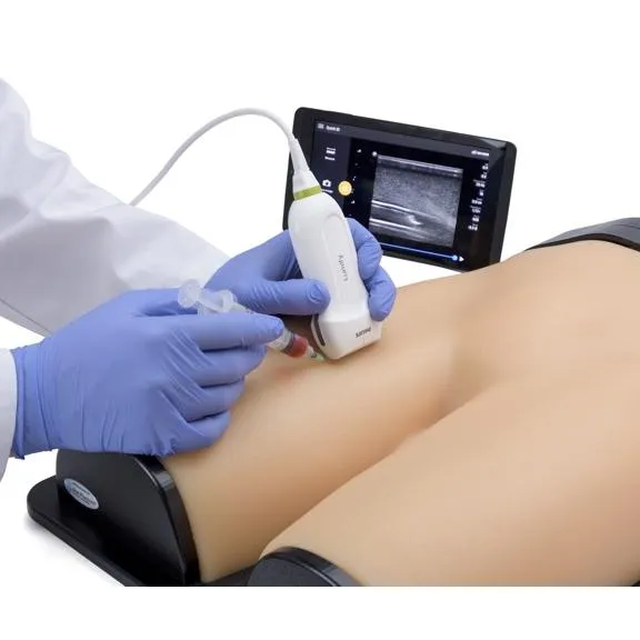 Gen II Femoral Vascular Access and Regional Anesthesia Ultrasound Training Model
