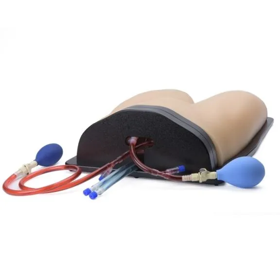 Gen II Femoral Vascular Access and Regional Anesthesia Ultrasound Training Model