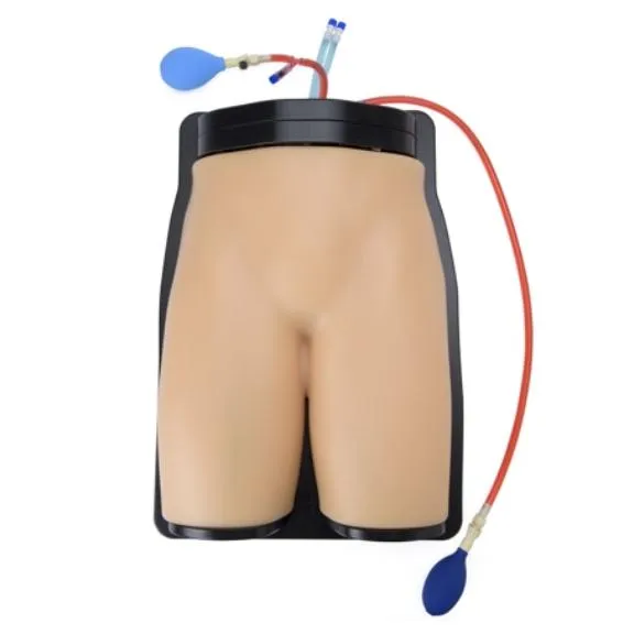 Gen II Femoral Vascular Access and Regional Anesthesia Ultrasound Training Model