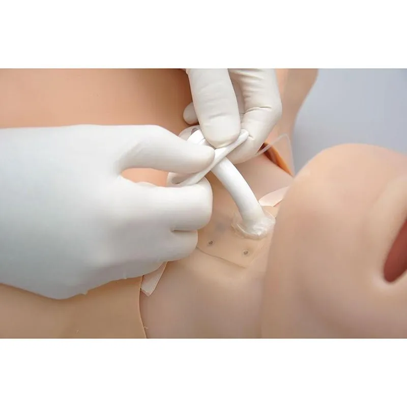 HAL® Adult Multipurpose Airway and CPR Trainer, Medium