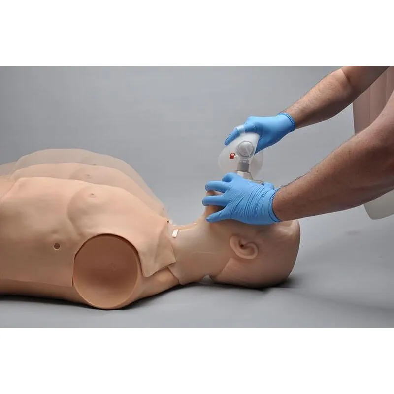 HAL® Adult Multipurpose Airway and CPR Trainer, Medium