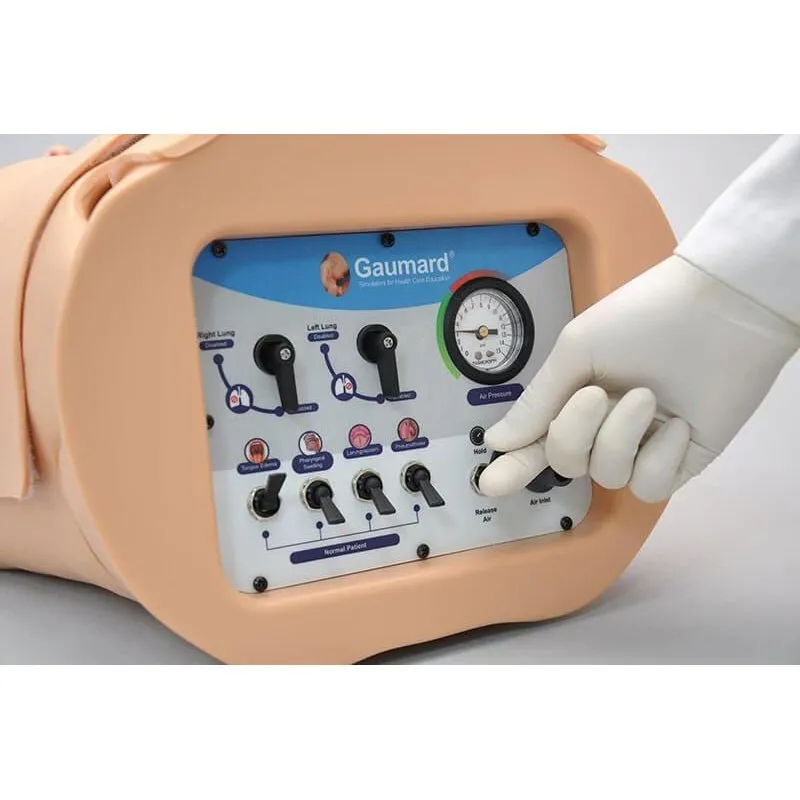 HAL® Adult Multipurpose Airway and CPR Trainer, Medium