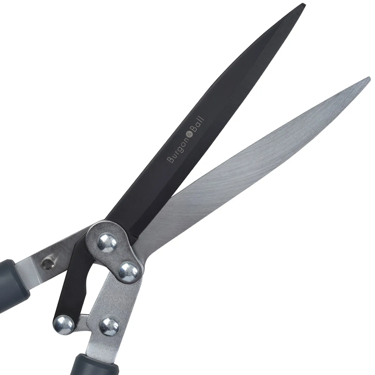 Hedge Shear - RHS Endorsed