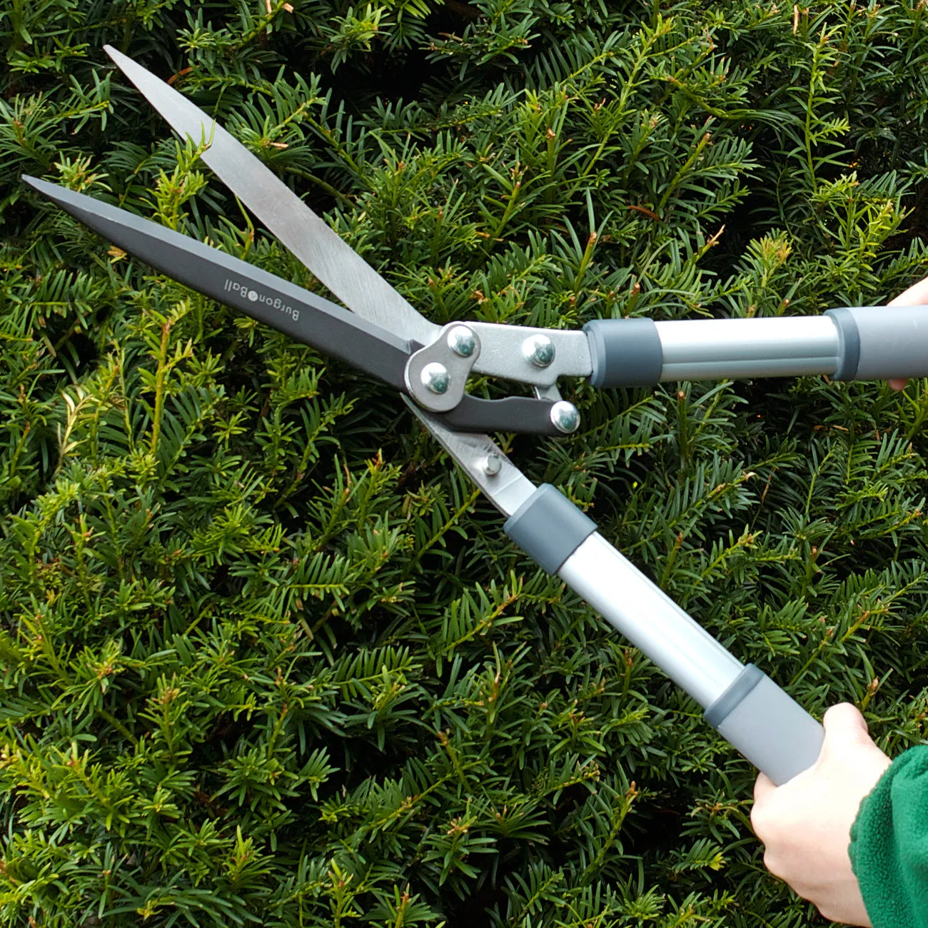 Hedge Shear - RHS Endorsed