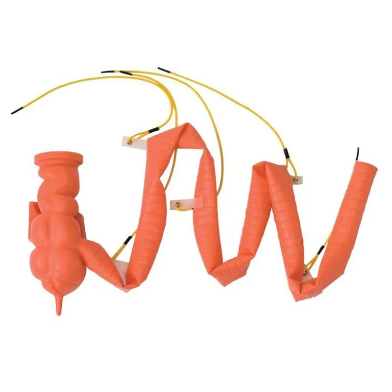 Koken Colonoscopy (Lower GI Endoscopy) Simulator Type II