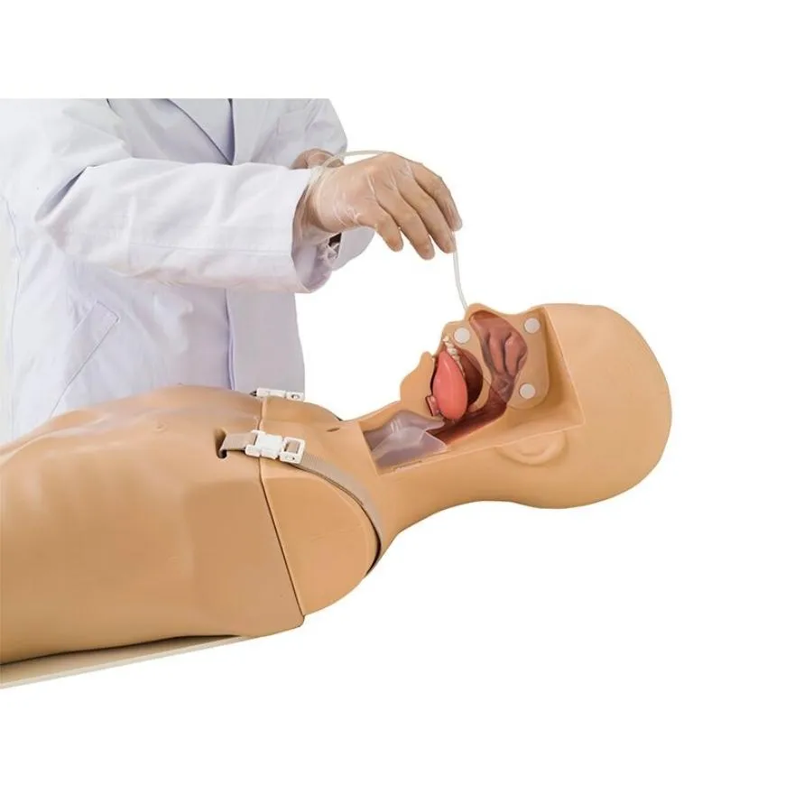 Koken Suction and Tube Feeding Simulator