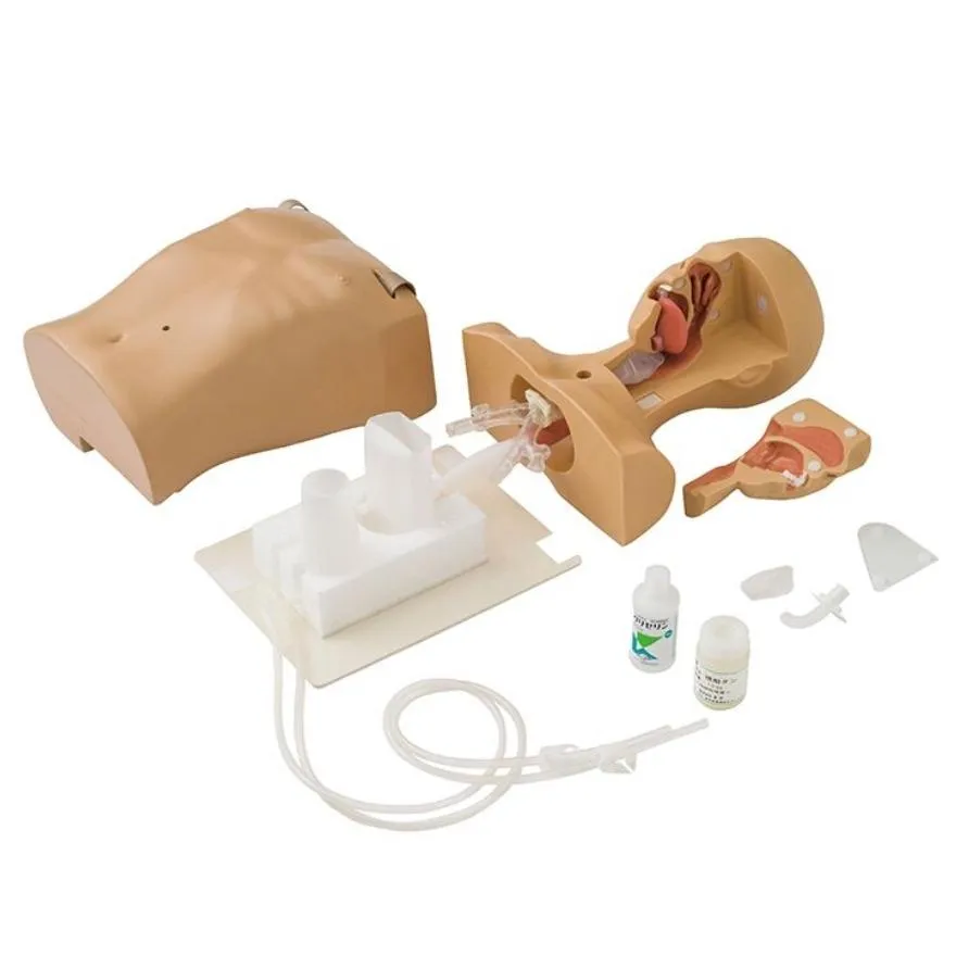 Koken Suction and Tube Feeding Simulator