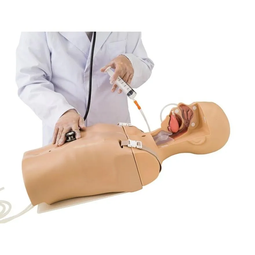 Koken Suction and Tube Feeding Simulator