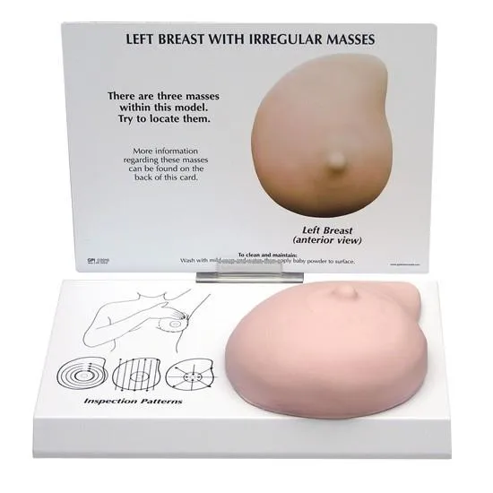 Left Breast Cancer Model, Life-like