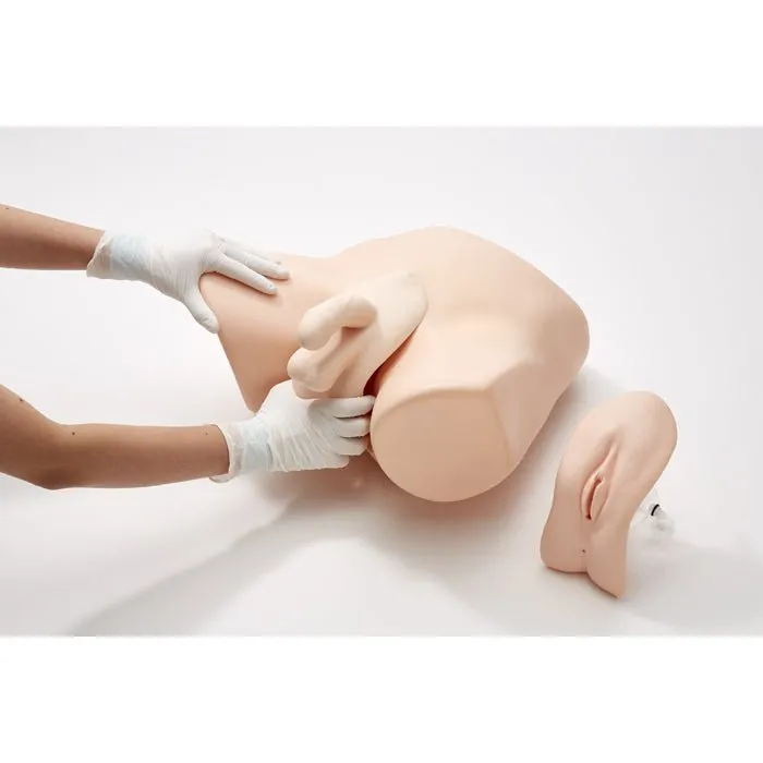 Male Catheterization & Enema Simulator