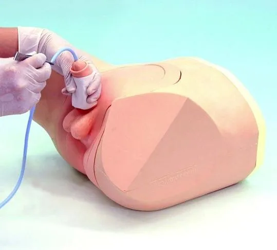 Male Catheterization and Enema Simulator