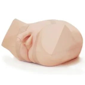 Male Catheterization and Enema Simulator