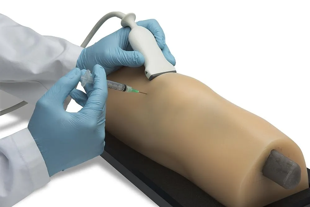 MSK Knee Ultrasound Training Model