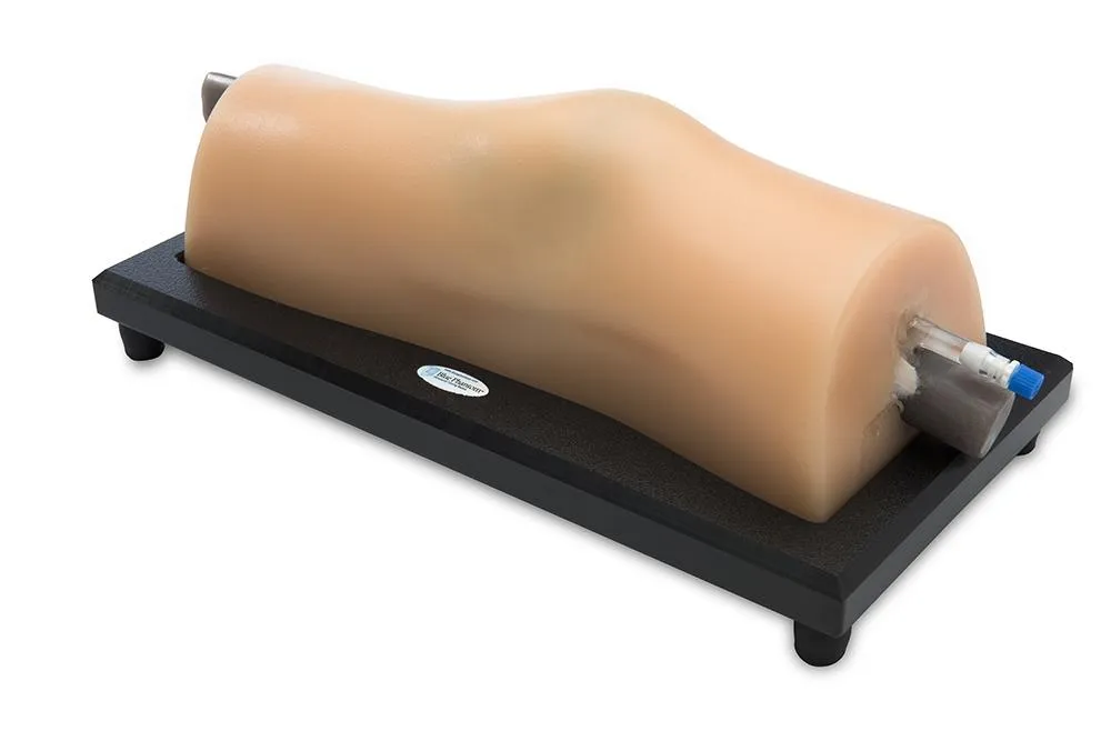MSK Knee Ultrasound Training Model