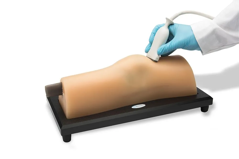 MSK Knee Ultrasound Training Model