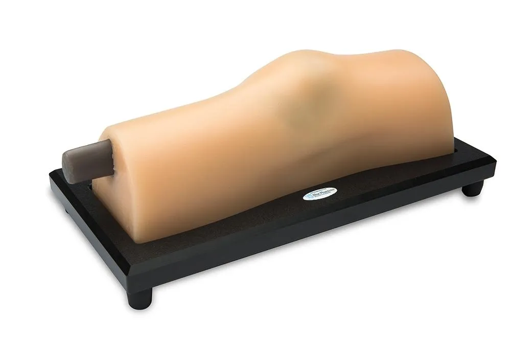 MSK Knee Ultrasound Training Model