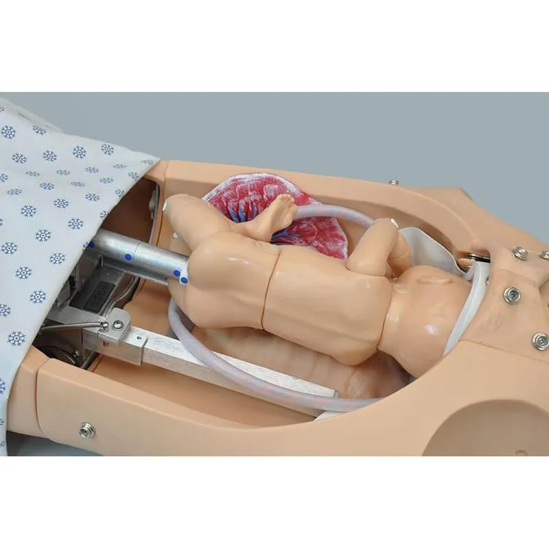 NOELLE® Automatic Childbirth Skills Trainer Torso with OMNI®, Light
