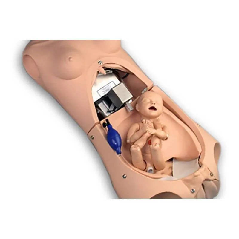 NOELLE® Automatic Childbirth Skills Trainer Torso with OMNI®, Light