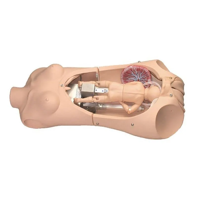 NOELLE® Automatic Childbirth Skills Trainer Torso with OMNI®, Light