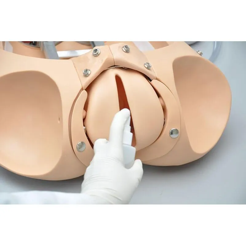 NOELLE® Automatic Childbirth Skills Trainer Torso with OMNI®, Light
