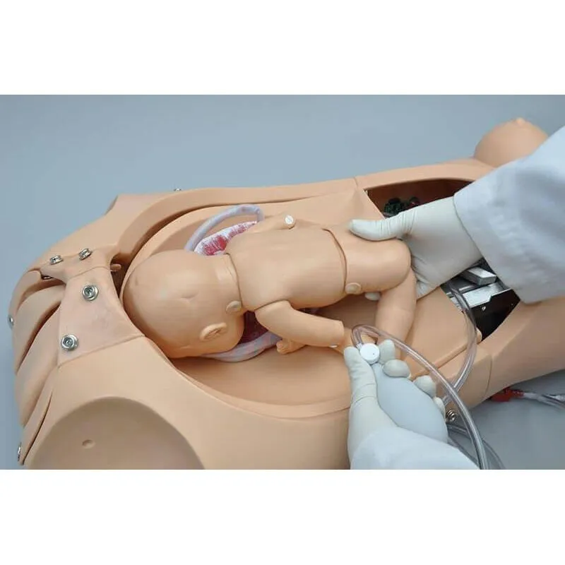 NOELLE® Automatic Childbirth Skills Trainer Torso with OMNI®, Light