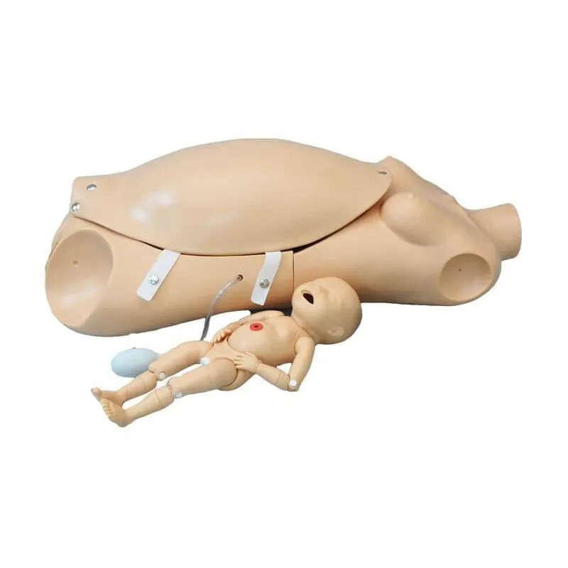 NOELLE® Automatic Childbirth Skills Trainer Torso with OMNI®, Light