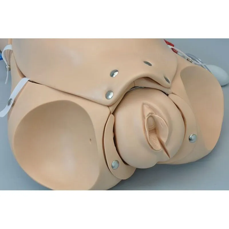 NOELLE® Automatic Childbirth Skills Trainer Torso with OMNI®, Light