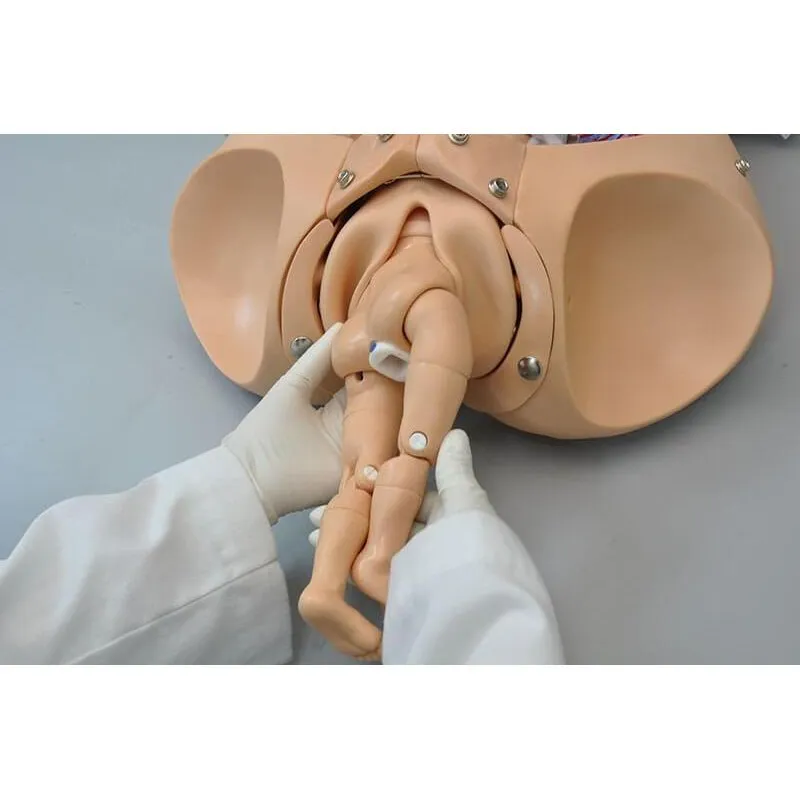 NOELLE® Automatic Childbirth Skills Trainer Torso with OMNI®, Light