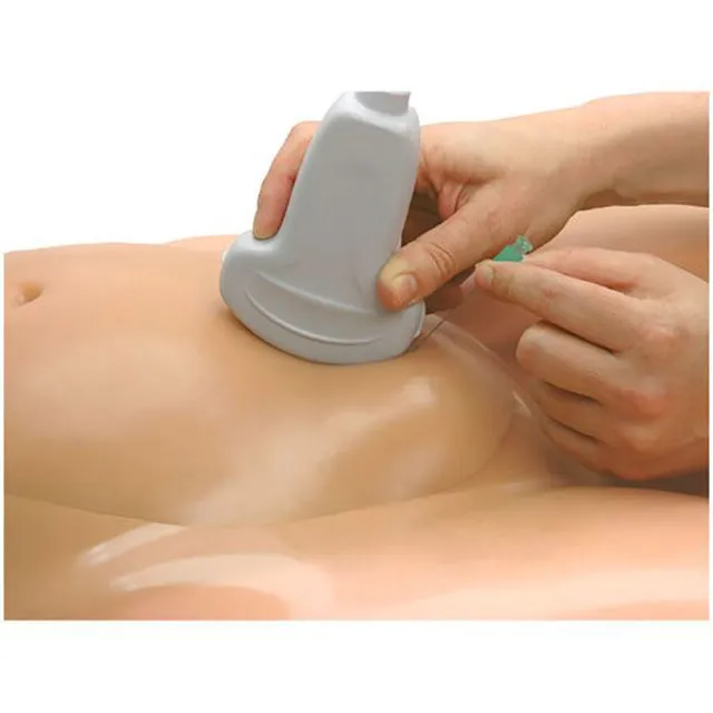 Percutaneous Umbilical Cord Blood Sampling Ultrasound Training Model